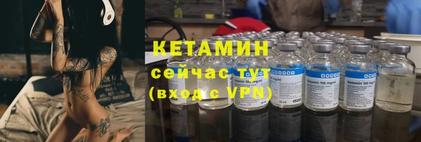 прущие грибы Беломорск
