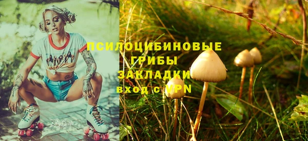 прущие грибы Беломорск