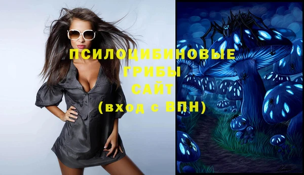 прущие грибы Беломорск