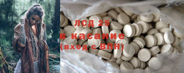 прущие грибы Беломорск