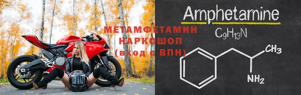 прущие грибы Беломорск