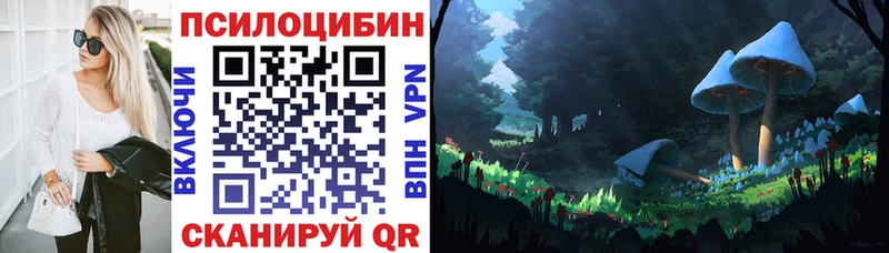 наркошоп Мариинский Посад Галлюциногенные грибы Cubensis